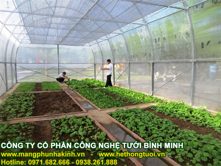 Lưới chắn côn trùng made in Israel politiv, nhà lưới
