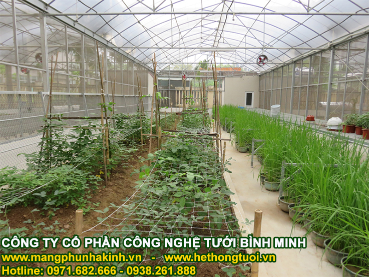 Lưới chắn côn trùng made in Israel politiv, nhà lưới