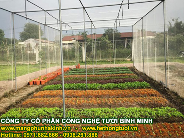 Lưới chắn côn trùng made in Israel politiv, nhà lưới