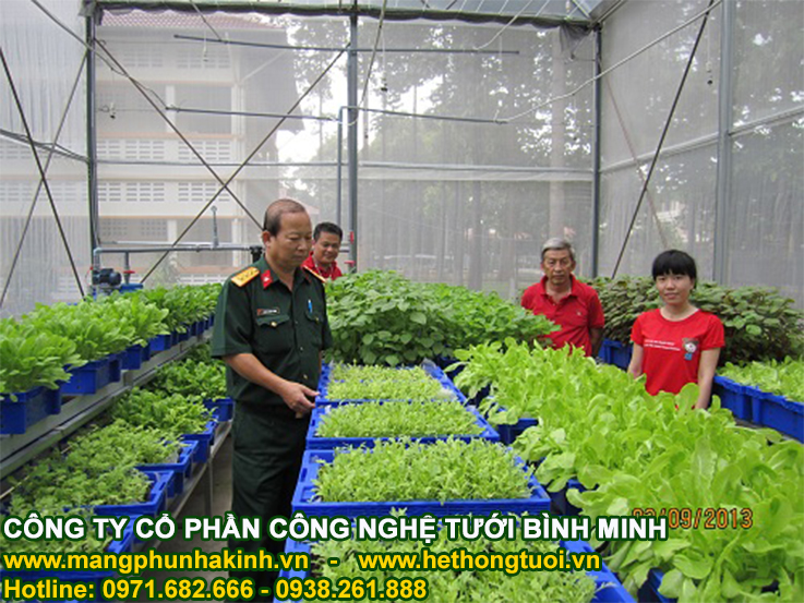 Lưới chắn côn trùng made in Israel politiv, nhà lưới