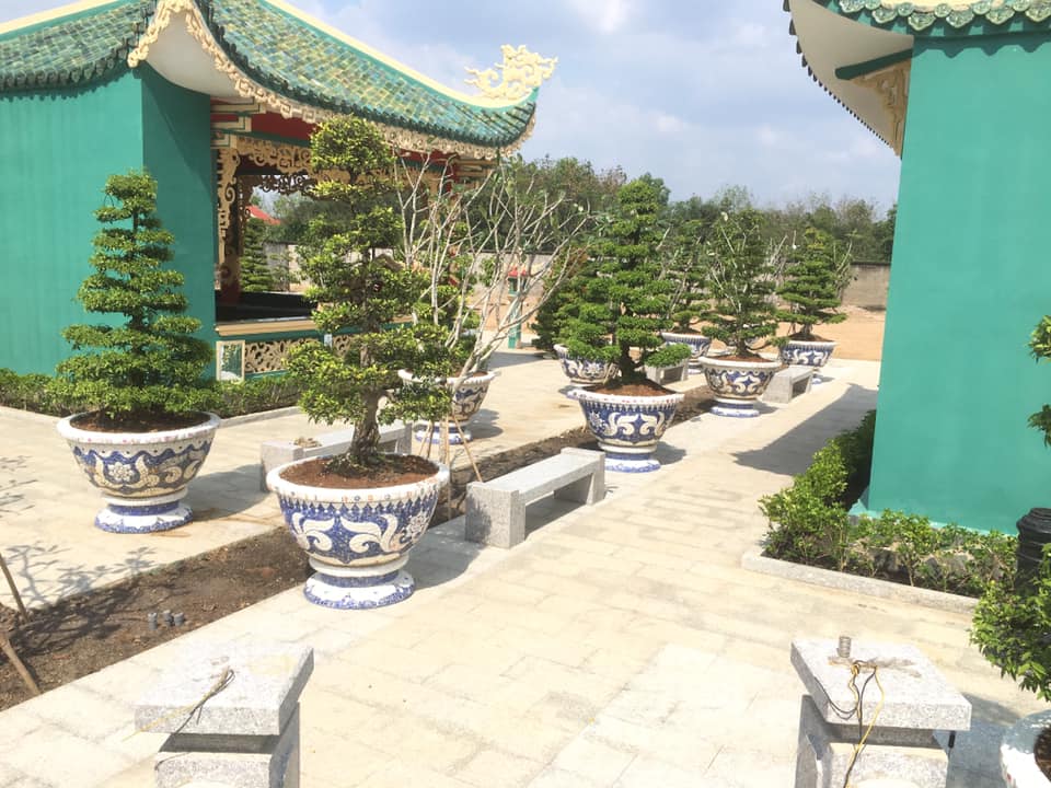 Chậu cẩn miễng - chậu khảm sành tphcm thủ đức