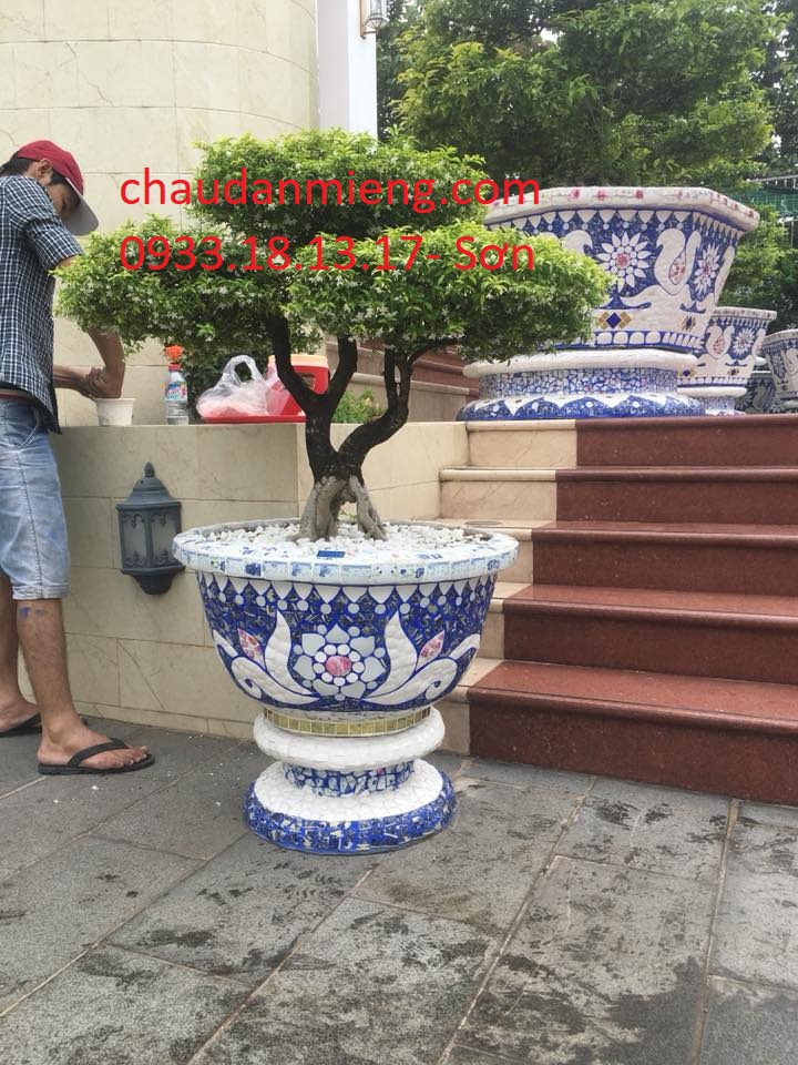 chậu hoa dán sành sứ - chậu hoa bon sai - chậu khảm miểng