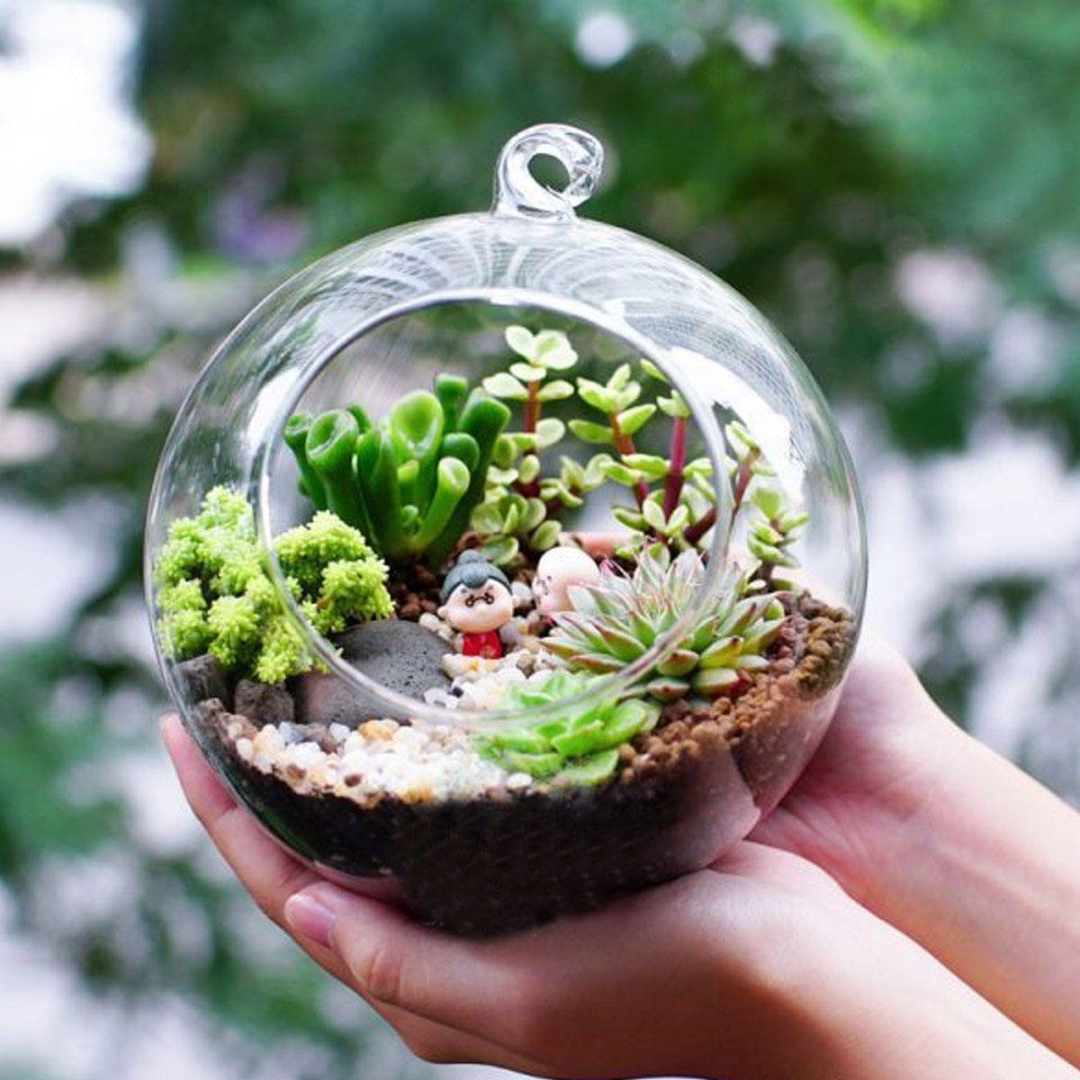 Tiểu cảnh để b&agraven Terrarium xinh xắn, tiểu cảnh mini- Fun Graden