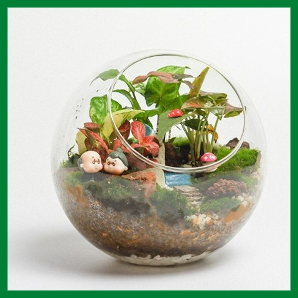 Tiểu cảnh để b&agraven Terrarium xinh xắn, tiểu cảnh mini- Fun Graden