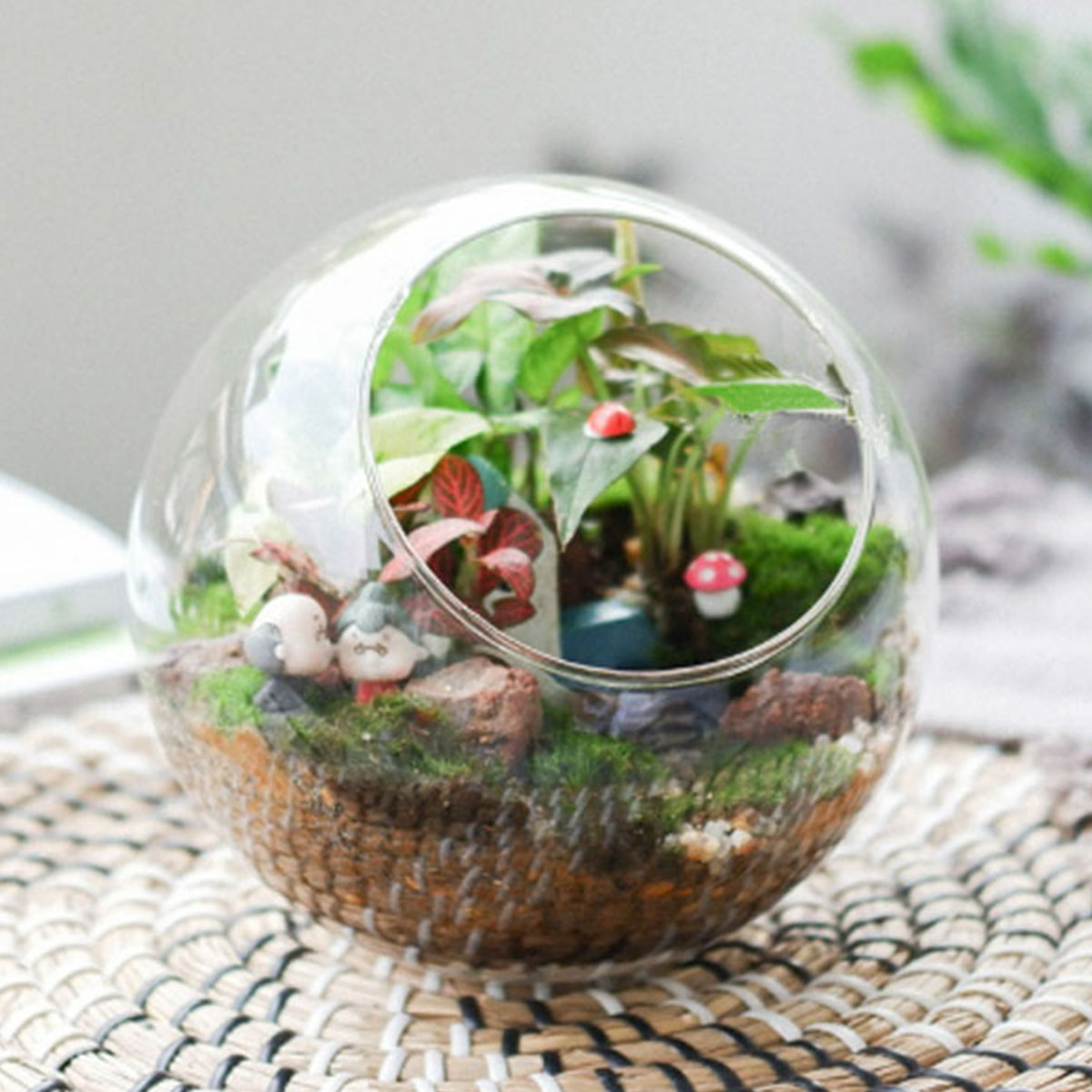 Tiểu cảnh để b&agraven Terrarium xinh xắn, tiểu cảnh mini- Fun Graden