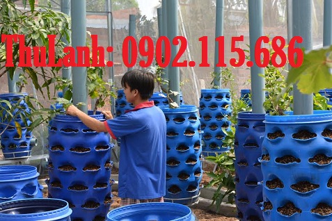 Thùng phuy 30,50,100,150,200,220 lít nắp kín có đai