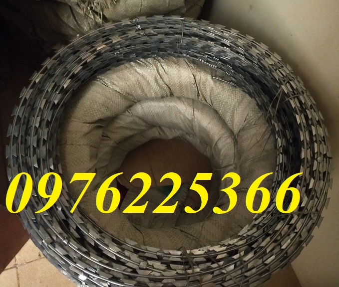 Dây kẽm gai hình dao inox 304, kẽm gai chống trộm hiệu quả