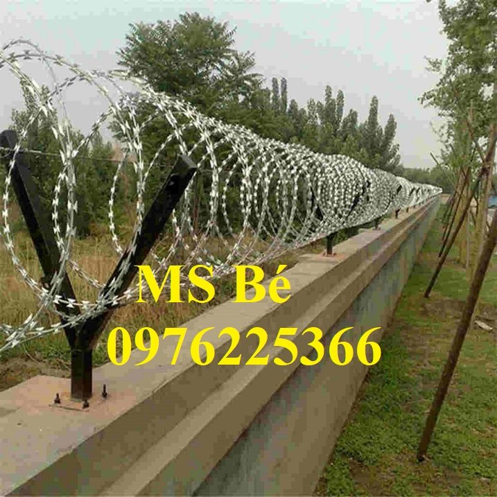 Báo giá dây kẽm gai hình dao mạ kẽm tại Hà Nội