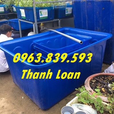 Thùng nuôi cá 750L chữ nhật / 0963 839 593 Ms.Loan