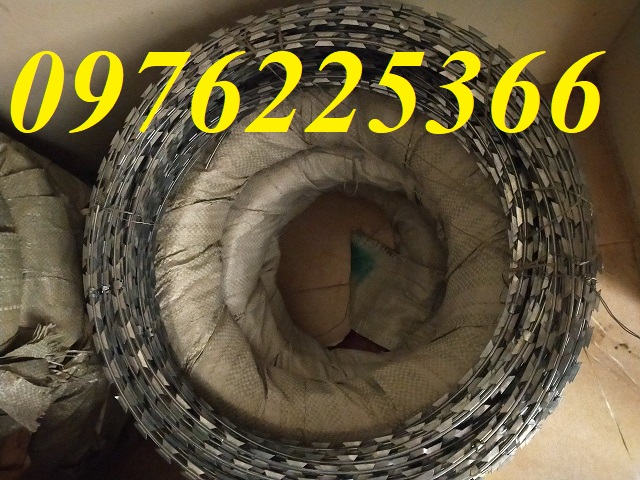 Đại lý bán dây kẽm gai hình dao inox 304