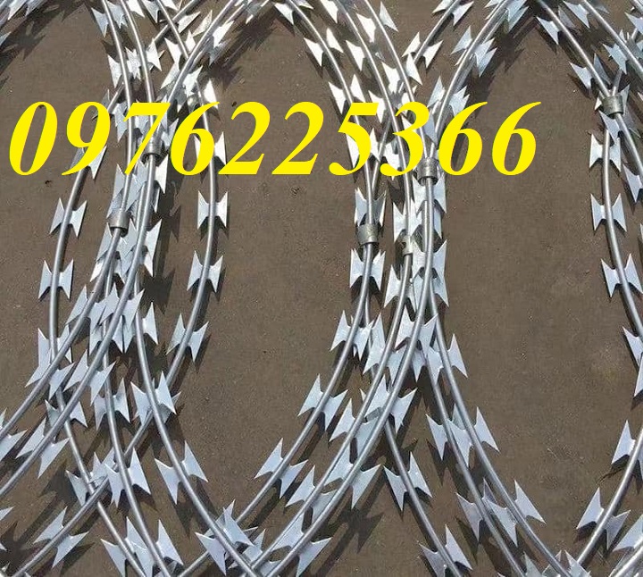 Dây kẽm gai chống trộm hiệu quả ,kẽm gai hình dao