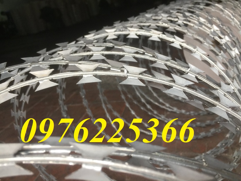 Dây kẽm gai, dây thép gai mạ kẽm đường kính 50cm