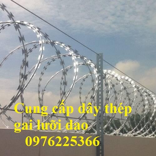 Dây kẽm gai, dây thép gai mạ kẽm đường kính 50cm