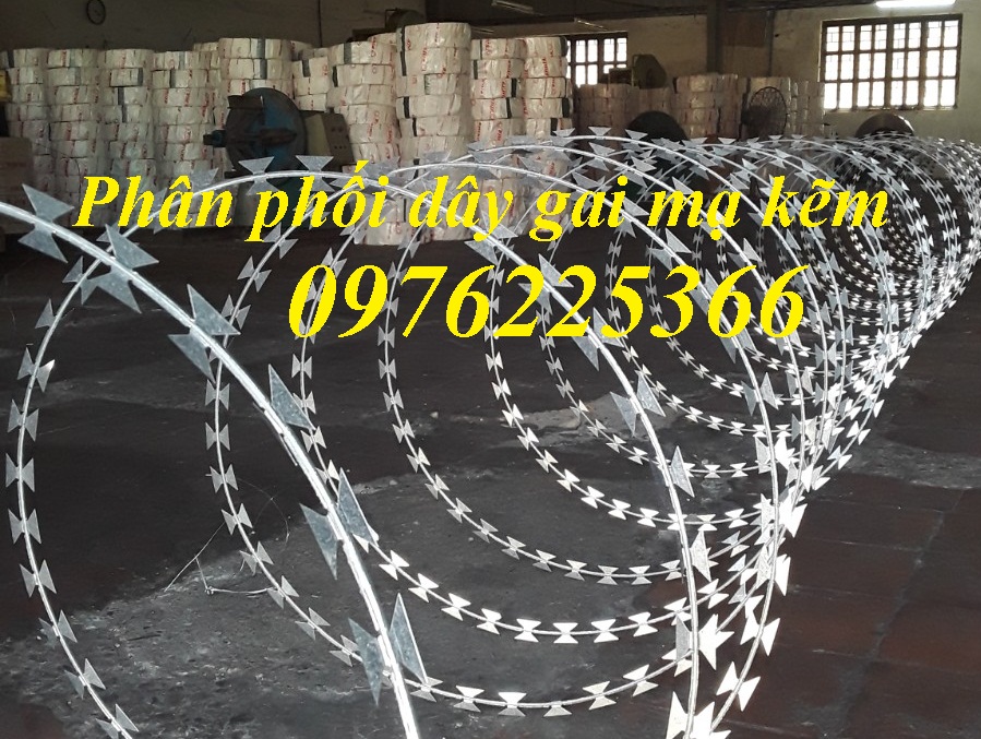 Dây thép gai,dây bùng nhùng ,dây kẽm gai hình dao