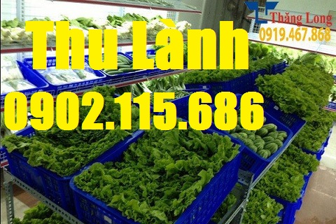 Sóng nhựa hở H190 từ nhựa HDPE nguyên sinh