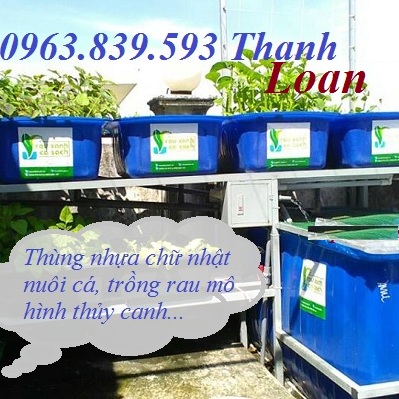 Thùng nuôi cá ngoài trời, thùng nhựa lớn / 0963.839.593