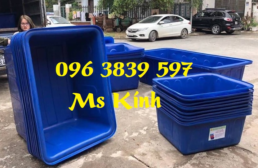 Thùng nhựa chữ nhật 300 lít, thùng nhựa nuôi cá - 096 3839 597 Ms Kính