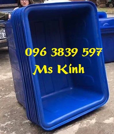 Thùng nhựa chữ nhật 300 lít, thùng nhựa nuôi cá - 096 3839 597 Ms Kính