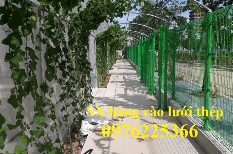 Báo giá hàng rào lưới thép -Lưới thép hàng rào bảo vệ