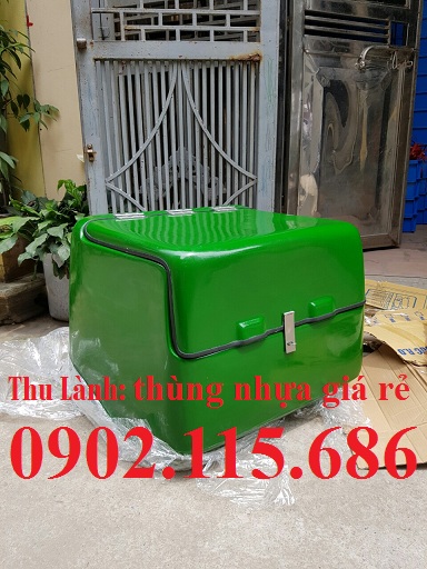Thùng giao hàng giữ nhiệt, thùng ship hàng giữ nhiệt