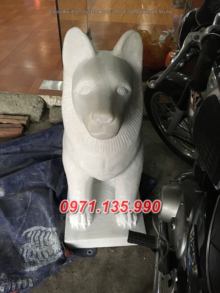 Mẫu chó đá đẹp bán tại hà nội bắc giang hà nam