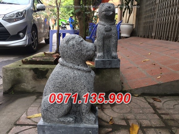 Mẫu chó đá đẹp bán tại hà nội bắc giang hà nam