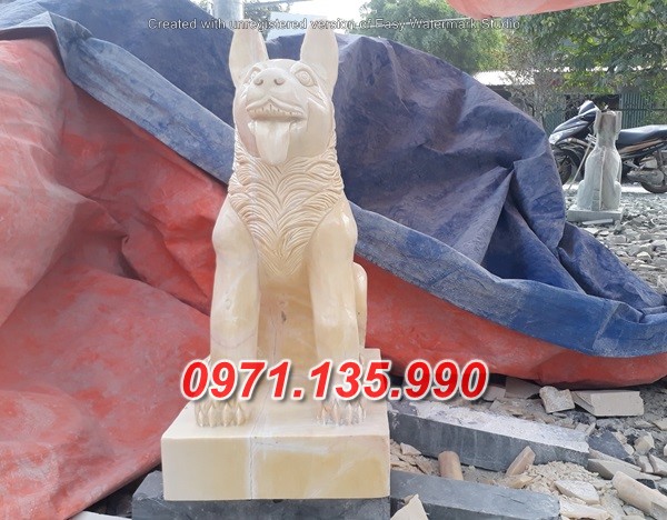 Mẫu chó đá đẹp bán tại hà nội bắc giang hà nam
