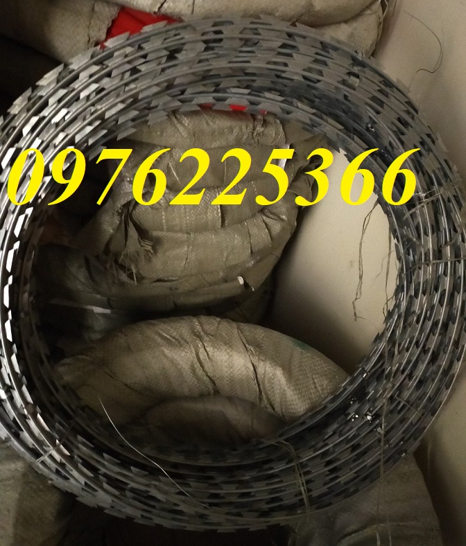 Đại lý dây thép gai hình dao,kẽm gai lưới dao giá rẻ
