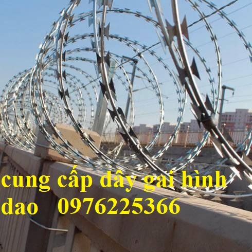 Đại lý dây thép gai hình dao,kẽm gai lưới dao giá rẻ
