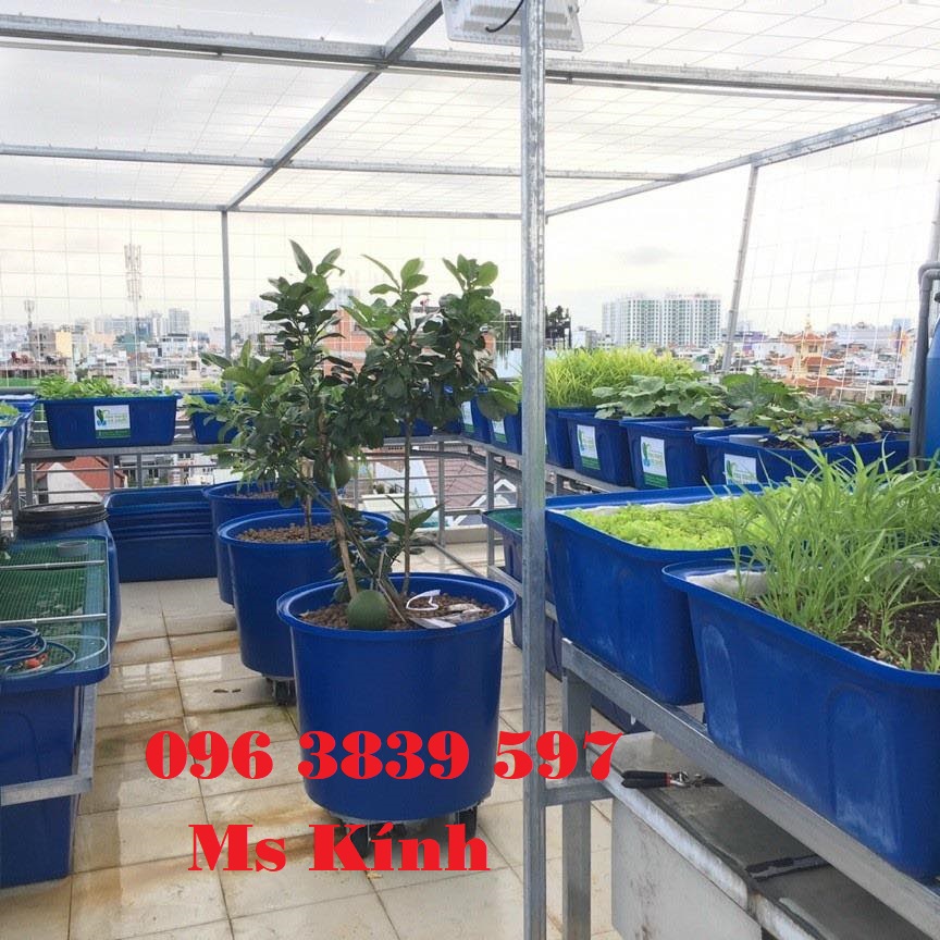 Cung cấp thùng nhựa tròn nuôi cá, trồng cây - 0963839597 Ms Kính