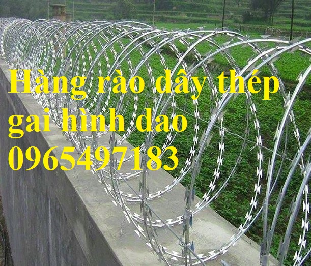Dây thép gai hình dao, dây kẽm gai bùng nhùng, kẽm gai lưới dao