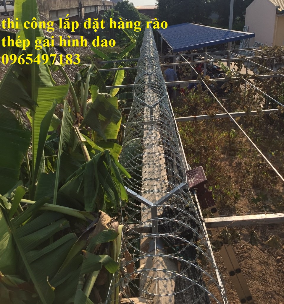 Cung cấp và  thi công lắp đặt hàng rào thép gai hình dao tại Hà Nội