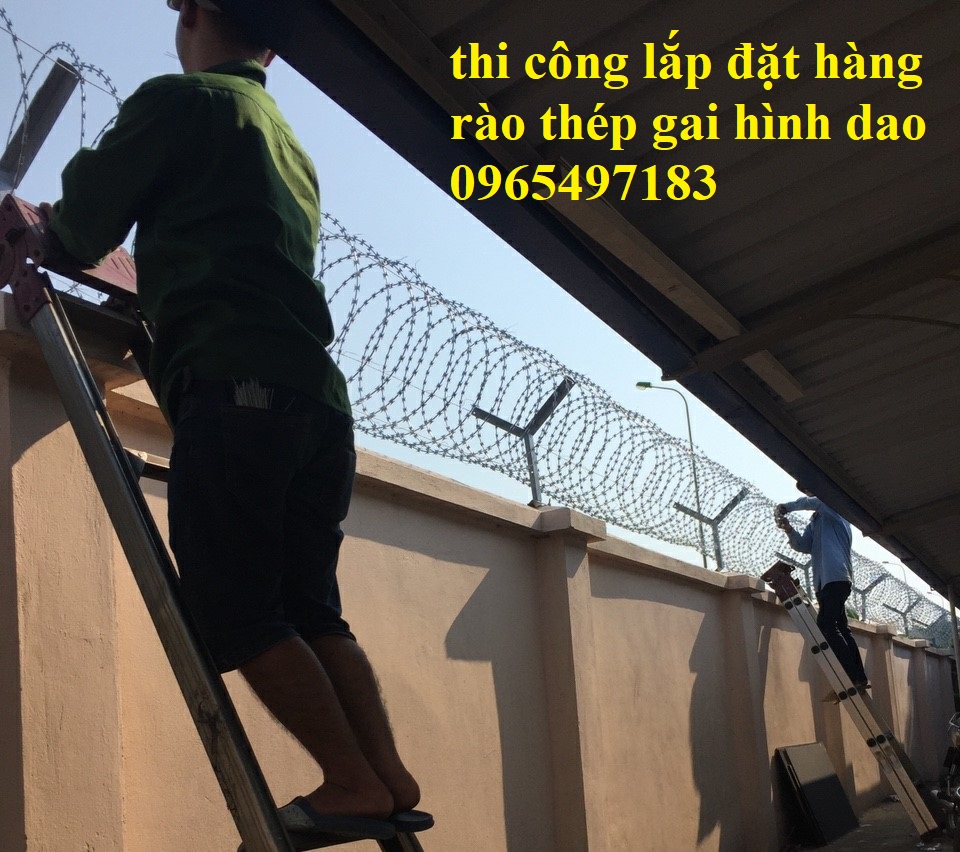 Cung cấp và  thi công lắp đặt hàng rào thép gai hình dao tại Hà Nội