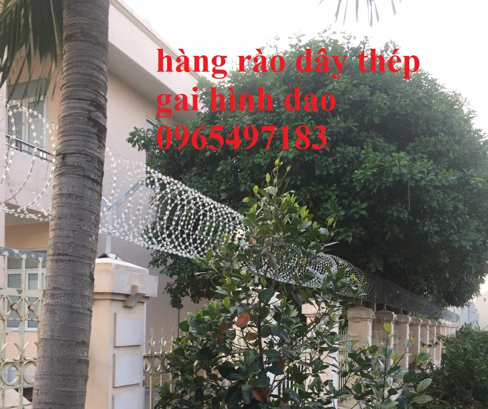 Dây thép gai hình dao đường kính 45cm, dây kẽm gai lưỡi dao ,