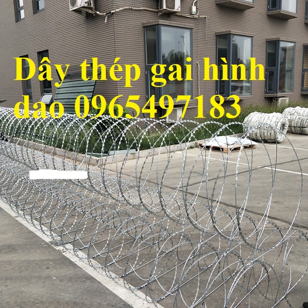 dây thép gai hình dao đường kính 80cm bảo vệ an ninh quân đội