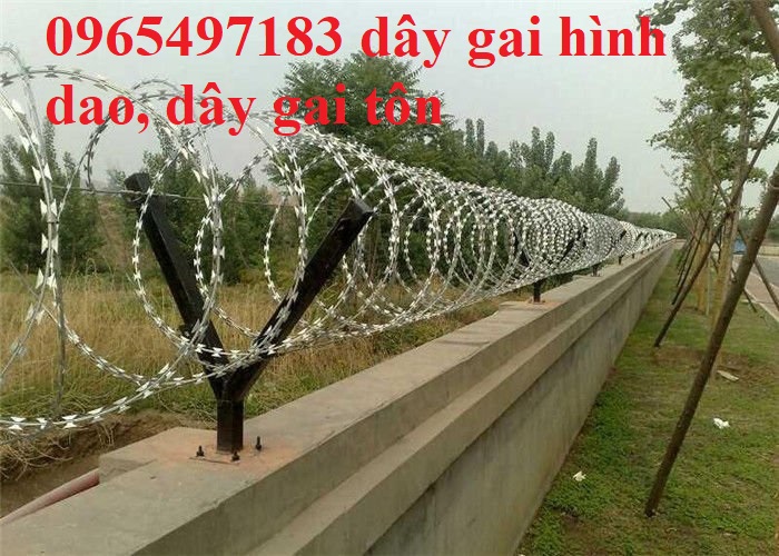 dây thép gai hình dao đường kính 80cm bảo vệ an ninh quân đội