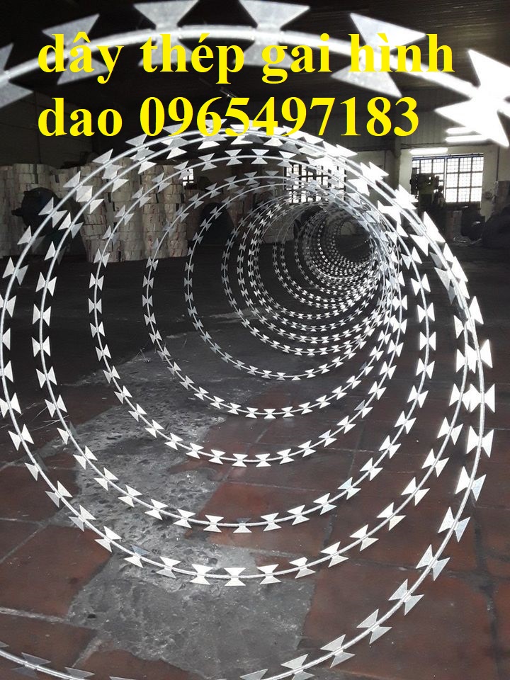Dây thép gai hình dao đường kính 45cm, dây kẽm gai lưỡi dao ,