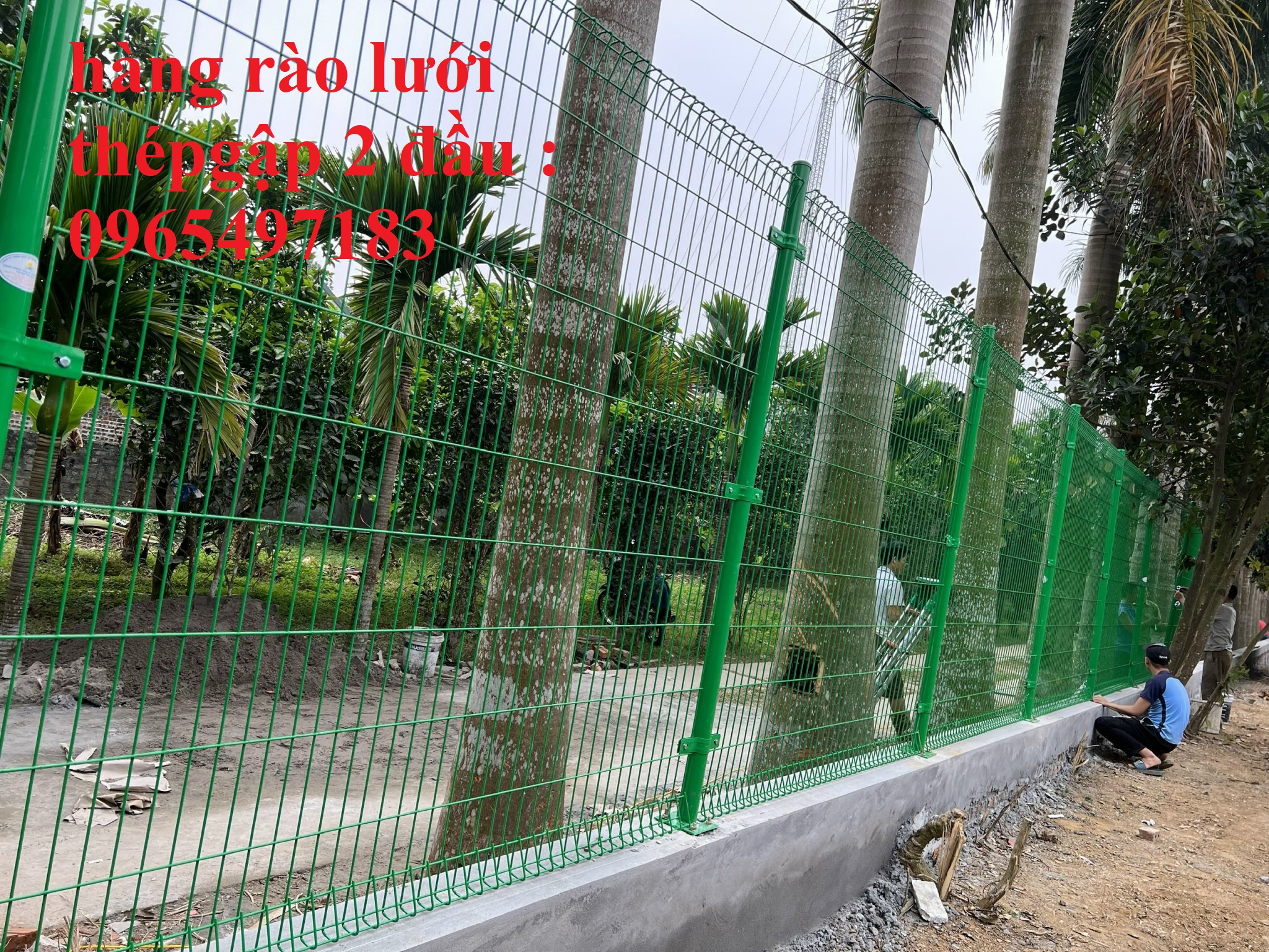 Lưới thép hàng rào mạ kẽm sơn  sơn tĩnh điện, hàng rào thép hàn