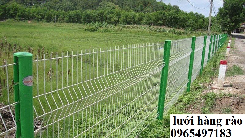 Nhận sản xuất hàng rào lưới thép hàn , lưới thép hàng rào D4, D5, D6,