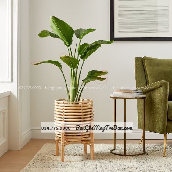 Giỏ đỡ chậu cây mây tre trang trí phòng khách