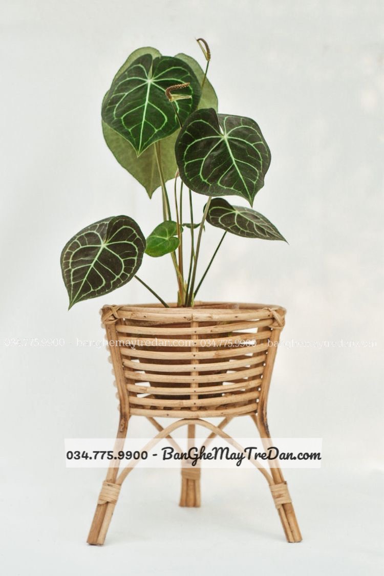 Giỏ đỡ chậu cây mây tre trang trí phòng khách