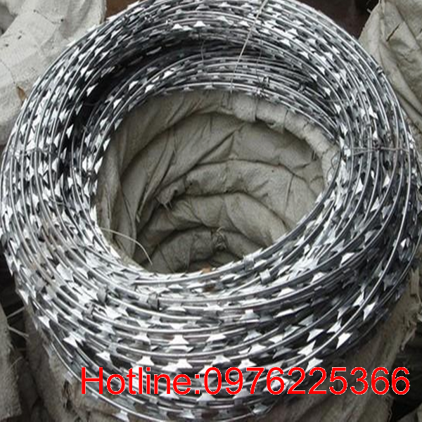 Đại lý phân phối dây thép gai ,dây kẽm gai hình dao giá rẻ