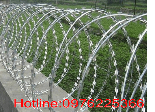 Đại lý phân phối dây thép gai ,dây kẽm gai hình dao giá rẻ