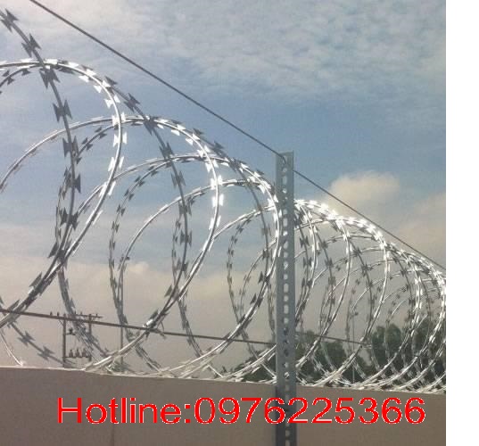 Đại lý phân phối dây thép gai ,dây kẽm gai hình dao giá rẻ