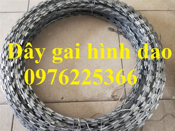 Dây thép gai hình dao giá rẻ ,hàng sẵn tại kho Hà Nội
