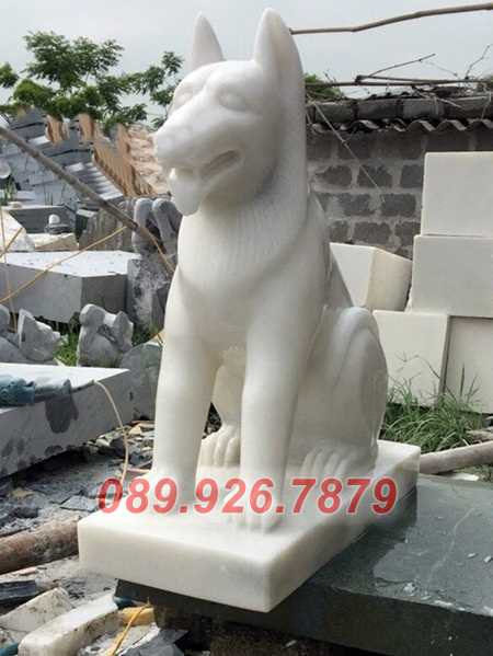 36 Mẫu chó đá ở Kiên Giang - Cơ sở bán chó đá UY TÍN tại Kiên Giang