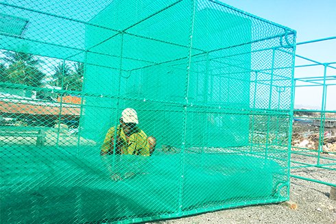 Lưới xây dựng giá tốt cho công trình và nhà thầu