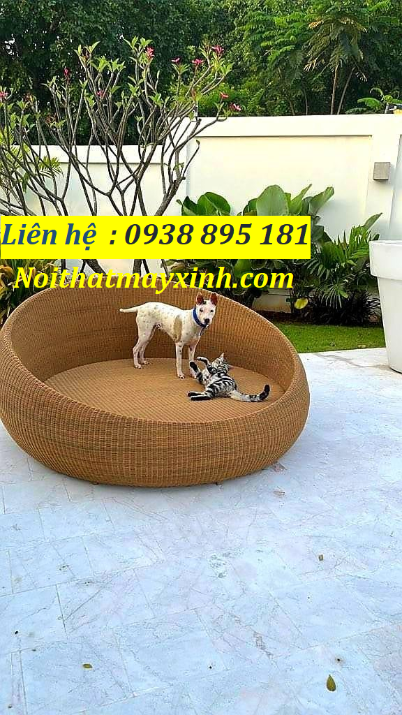Ghế bể  bơi ngoài trời mây nhựa, xưởng ghế hô bơi giả mây