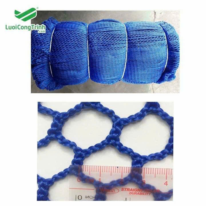 Lưới An toàn Green/Blue khổ 2m50m - 2,5cm