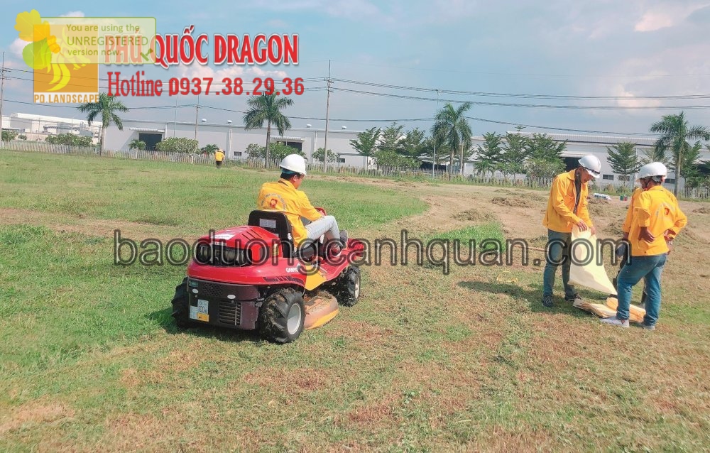Dịch vụ cắt cỏ dại ở Đồng Nai O937.382.936